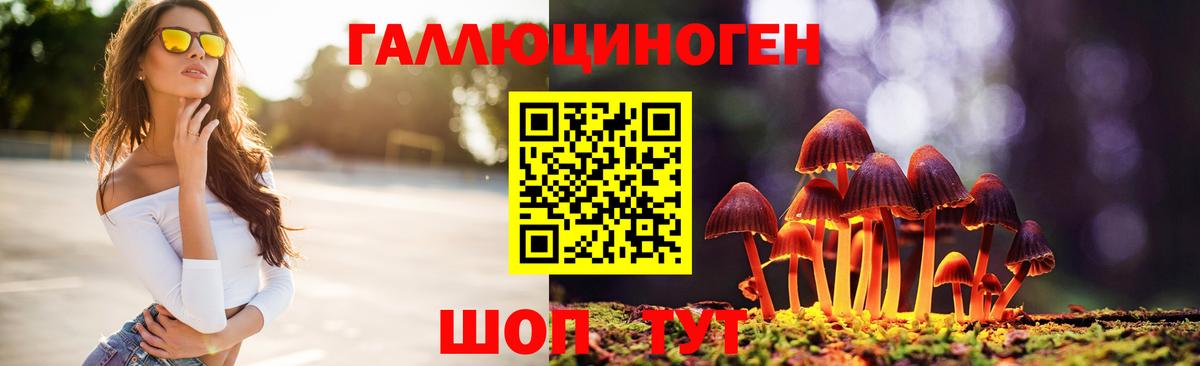 Галлюциногенные грибы мухоморы  Псилоцибиновые грибы Psilocybine cubensis  Ялта  Вход с VPN 